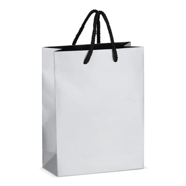 FSC Paper gift bag 18 x 8 x 24cm 200g/m² - LT91515 (N0005)
